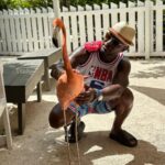 Taye Diggs Instagram – So many thanks to @bahamarresorts wow! It’s now my second time and I plan on coming back. Sun, fun and friends. Can’t wait to do it again! See u next time…. Hyatt Bahamar Resort, Nassau