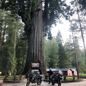 Taylor Kinney Instagram - Big thanks to @bmwmotorrad #bmwmotorrad #makelifearide From Los Angeles to San Francisco, Redwood Forest to Portland, Idaho to Vegas and back. My good friend @mrdogcoop had the most epic trip on these bikes. I remember reading about Ewan McGregor and his good friend Charlie’s trip from Scotland to South Africa on these bikes in the book ‘Long Way Down’. Always wanted the opportunity to take on a trip like theirs. We may not have covered as many miles but the memories on the road will last a lifetime. Safe travels and ride safe, cheers!
@quitthecrew