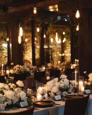 Taylor Lautner Instagram - COCKTAIL HOUR/RECEPTION
After the ceremony, guests were shuttled back down from the vineyard to the tasting room where they toasted one another with a glass of Casamigos cocktails named after our dogs Remi and Lily, and a variety of wines from Epoch. Live music was played on a grand piano covered in overgrown florals, and bottles of Epoch’s Rose were being live painted for guests to take home at the end of the night as a keepsake. Hundreds of Edison bulbs hung from the stunning trees over the cocktail bar, grand piano and live bottle painting station. On their way to the reception area, guests walked through a butterfly garden filled with greenery. There, butterflies floated amongst guests while a harpist played in the background. Once inside, there were candles from Snif burning a custom scent called “Sweet Ash” and leather menu books embossed with a custom TT logo at each place setting. We both attach smells to memories and people so we wanted to have a specific “scent” to our wedding that guests walked away resonating it to. We felt including this unique logo of two T’s intertwined (designed by our planner/designer Josiah) on just about every part of the day would make it feel special. Greenery and white florals filled the room to contrast the sexy industrial look of the tasting room. Did someone say more Edison bulbs? Yes, we did. Hanging Edison bulbs lined the three rows of tables we had for our loved ones. After our three course dinner paired with Epoch’s wines concluded everyone was ushered back outside surrounding the grand piano where our good friend and boy Tay’s groomsmen Aodhan King performed our first dance live. Aodhan and our other close friend Ben Hastings were gracious enough to lend us their beautiful voices for a few more songs until it was time to party. Low flying dry ice fog started to escape under the tasting room doors to outside inviting people back into a completely flipped dance floor that would take our souls for the rest of the evening. What’s a wedding without a dance floor, a few spilled drinks and the brides mother actually taking a nasty spill on it ;) (true story, rip to her kneecaps)