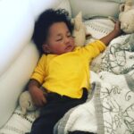 Terrence Howard Instagram - My little Shepard and his lambs...