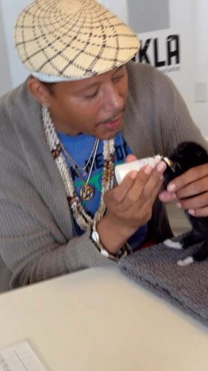 Terrence Howard Instagram - Foster and adopt from your local shelters! Can’t wait to foster again ♥️ @bestfriendsanimalsociety