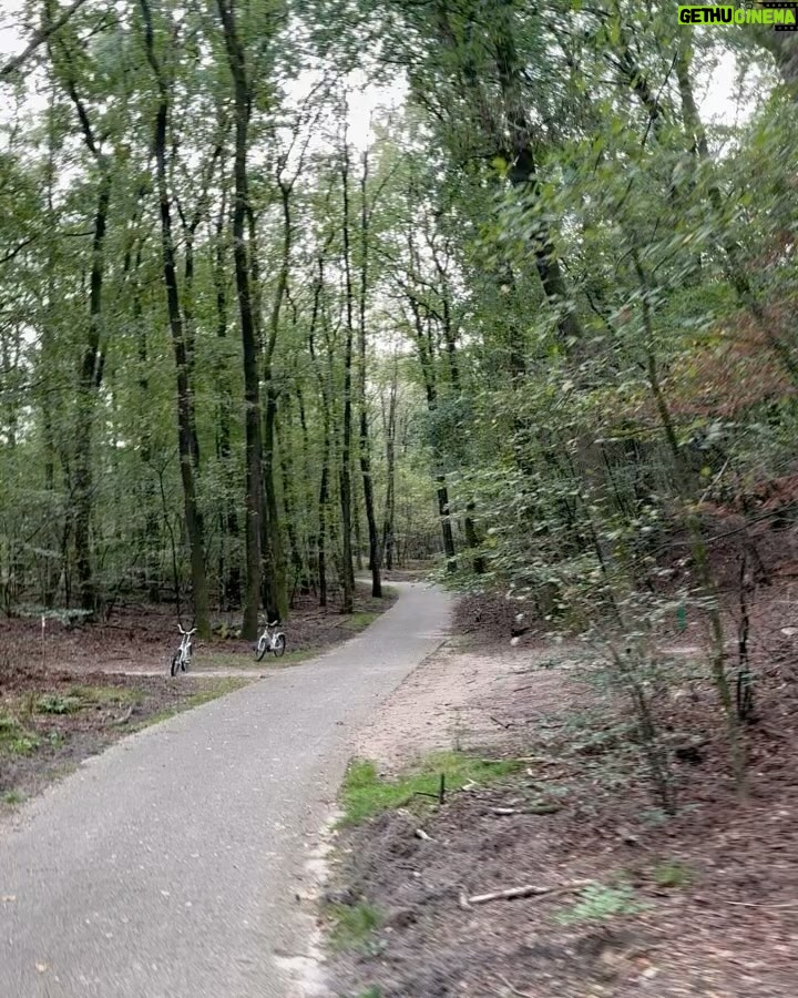 Thaila Ayala Instagram - - Amsterdã e seus canais 🥰 - Segunda maior coleção de Van Gogh no meio da floresta do Parque Nacional Hoge Veluwe 🤤 - Um tiquinho de de Emo style com @blink182 Kröller-Muller museum, Park De hoge Veluwe