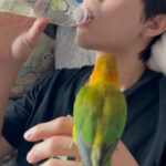 Thanat Lowkhunsombat Instagram - โอ้ยย แจ่บ !!! 🦜