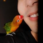 Thanat Lowkhunsombat Instagram - แจ่บนะ 🦜