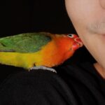 Thanat Lowkhunsombat Instagram - แจ่บนะ 🦜