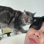 Thanawat Ratanakitpaisan Instagram - โถวโถววว