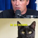 Theo Von Instagram - Super informative chat with a Coroner, Mr. Toby Savoy. We talked about what a coroner does, how to determine cause of death, if its possible to get away with murder, and what music a coroner listens to before and after work. I learned a great deal and im thankful for your time Mr @toby.savoy Available now wherever you listen to podcasts. 🙏