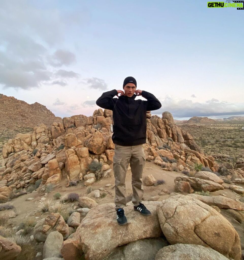 Thomas Kuc Instagram - This Joshua guy owns a lot of trees Joshua Tree National Park