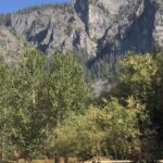 Thomas Kuc Instagram - a solid trip Yosemite National Park