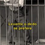 Tiago Pavinatto Instagram - Quantos dedos você levantou? Me conta aqui nos comentários👇