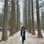 Tiara Andini Instagram - Light or dark version of me? Nami Island
