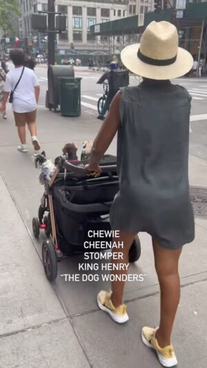 Tichina Arnold Instagram - Even when I rest, I work.  I had a great 4 shows in NYC but I still had “doggy mommy/auntie/T-ma” duties.  Service pups in training. Let’s go!