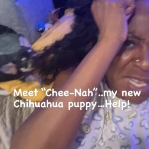 Tichina Arnold Instagram - Well…On a lighter note. I got a new puppy. #CheeNah the #TeaCupChihuahua - I’m too old for Buppies. Lol.
