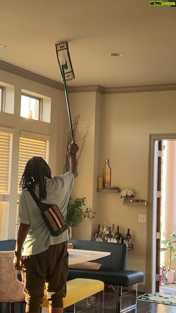 Tichina Arnold Instagram - My Hummingbird issue has been solved! Yay! My good friend @misterleroi came by and SAFELY and calmly helped the hummingbird out of my place. Thank God for good friends. No harm done to anyone involved. I thank you for the suggestions you posted to help me. Whew!!