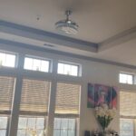 Tichina Arnold Instagram - Ok. I did everything y’all told me to do. It not leaving. Omg. The poor thing is tripping now. He’s flying everywhere except out the door. Omg
