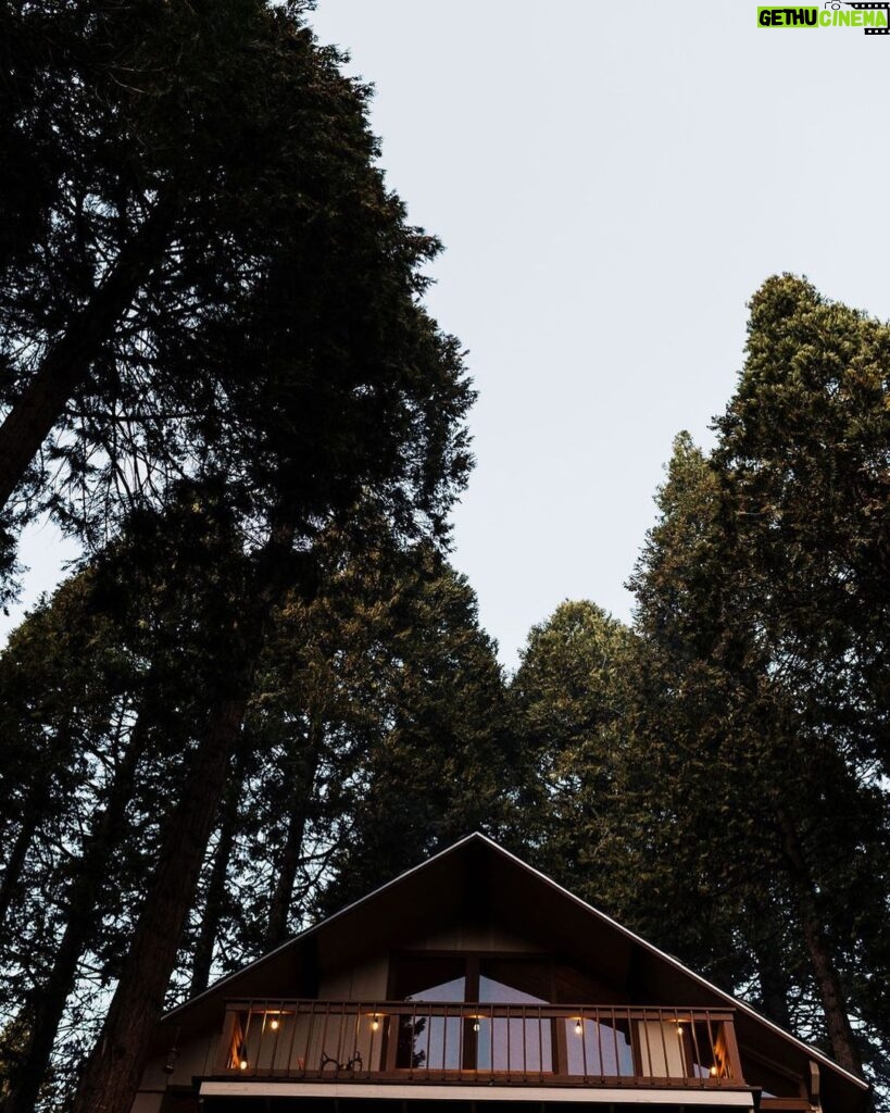 Tiffani Thiessen Instagram - My little cabin in the woods Sequoia National Forest