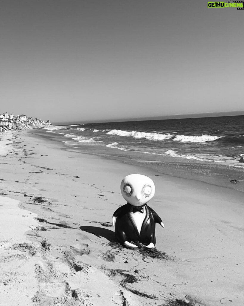 Tim Burton Instagram - I love staring at the ocean