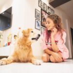 Tina Datta Instagram - Dinn hai Sunday, 🌞🌻⭐️ bahar hai light 💡 iss cutie ka saath ho toh lagta hai sab kuch alright 🤍 my lil sunshine makes my everyday oh so bright! 🦮🐕 . . @brunoranidatta #sundayfunday #sundayvibes #fyp #dogsofinstagram #petlovers #tinadatta