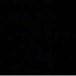Tom Cavanagh Instagram - Link in bio. Link in stories. Ways to help.