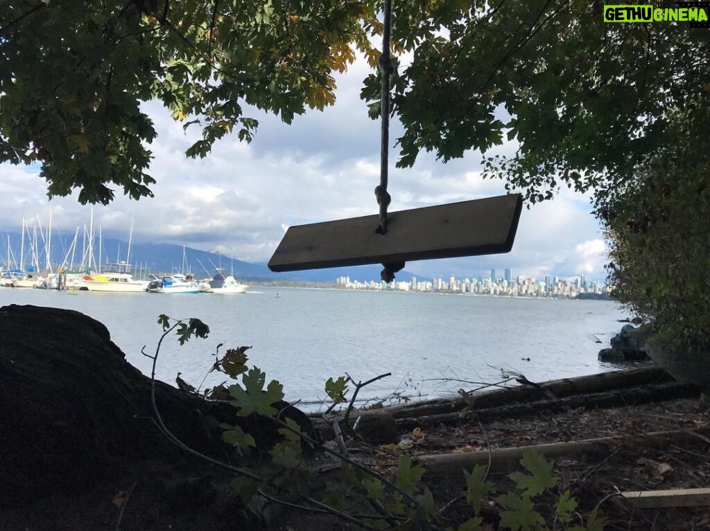 Tom Cavanagh Instagram - Swing Over Vancouver #VancouverShowingOff