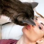 Tom Ellis Instagram - Happy Birthday to the worlds most beautiful cat lady (and wife). I love you @moppyoppenheimer ❤️❤️❤️