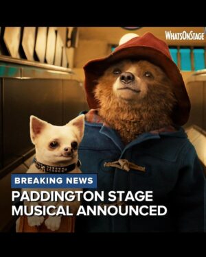 Tom Fletcher Instagram - The news is out! PADDINGTON: THE MUSICAL (working title) is happening! I still can’t believe that I get to write the songs for what is going to be an incredibly special show and work with such ridiculously talented people - @jessicaswale @lukejshepparduk @brindmatthew and so many more. We will look after this bear.