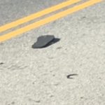 Tom Hanks Instagram - In the Spring, gloves. The Fall, flip flops. Bittersweet reminders of Times passing. Hanx.