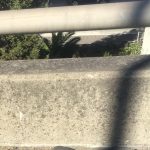 Tom Hanks Instagram - Heading to an off ramp with one flip flop takes awhile, no? Hanx.