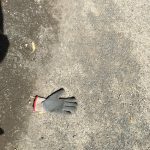 Tom Hanks Instagram - Put 'er there! Hanx