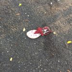 Tom Hanks Instagram - That girl? Hopping around the park on one foot? Here's why. Hanx.