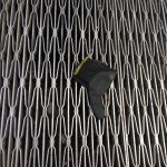 Tom Hanks Instagram - Thumbs down. Not Liked. This glove LOST. Hanx