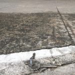 Tom Hanks Instagram - Rats. Lost my keys. Seen my keys, anyone? Rats. Hanx.