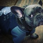 Tom Hardy Instagram -