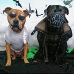 Tom Hardy Instagram - Happy Halloween 🎃