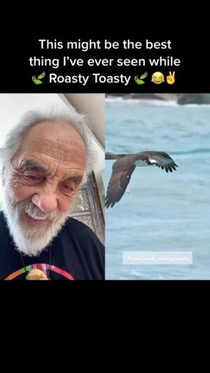 Tommy Chong Instagram - This was absolutely legendary man! Definitely stopped me in my stoney scrollin’ tracks 😂✌️ 

Well done @mark.smith.photography 😍💚

@heytommychong #Bowlmates