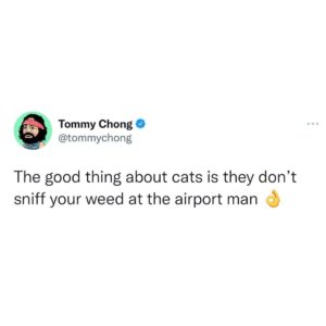 Tommy Chong Instagram - 👌👌