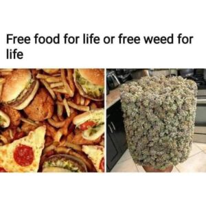 Tommy Chong Instagram - 🤔