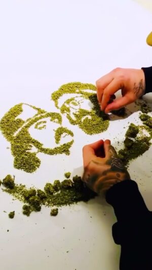 Tommy Chong Instagram - This is cool man! True artist🔥 @adrians_ink @cheechandchong