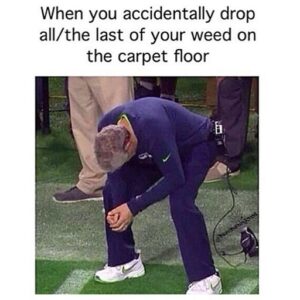 Tommy Chong Instagram - 😂😭