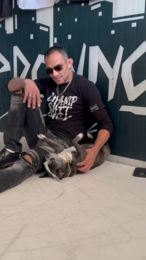 Tony Ferguson Instagram - Meet Knuckles 🐶

Tony Ferguson x Full Violence | Mon 12.11
