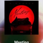 Trina Instagram - Let’s goooooooooo @iamniaamber 🔥🔥🔥🔥🔥🔥 New Single #Meeting out NOWWWW 🔥🔥🔥🔥♥️ streaming on all platforms ‼️‼️‼️ #RMG #NewMusic