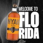 Trina Instagram - Have you tried my flavors ? @nyakcognac 🍹🥃🍾 #peach #cinnamon