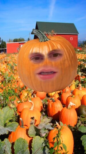Trixie Mattel Instagram - 🎃