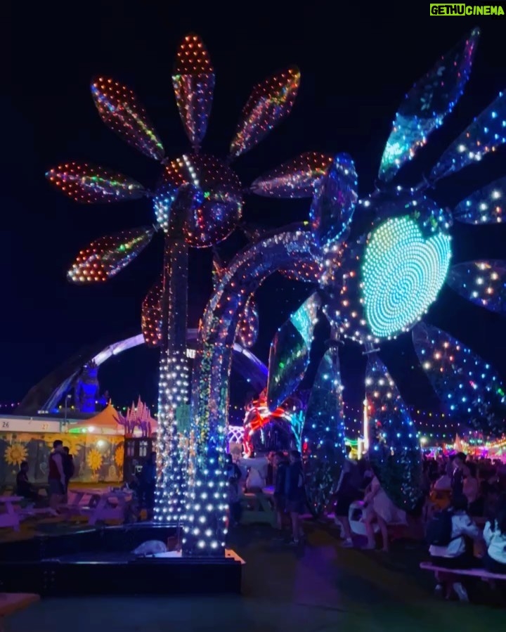 Tyler Oakley Instagram - first #EDC was worth the wait. so many giggles & wiggles, & #campEDC was the best vibe. catch me in the neon garden all day every day 😵‍💫⚡️🧚🏼‍♀️ Las Vegas, Nevada