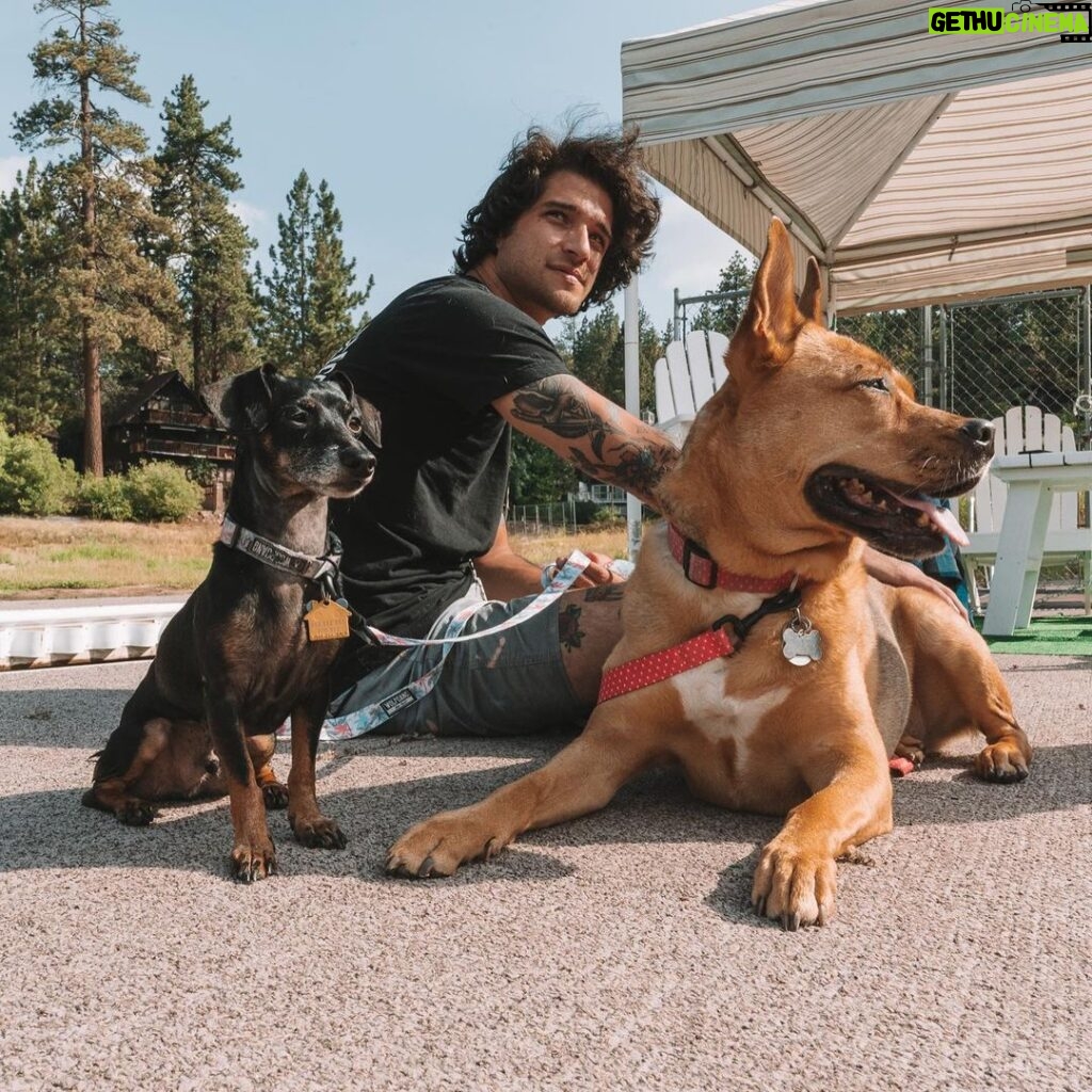 Tyler Posey Instagram - My best friends. Humans, animals, plants, whatever, we all want love