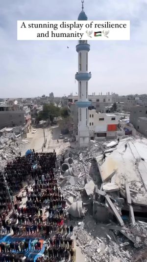 Tyrese Gibson Instagram - Cease fire…. Praying for PEACE!!!!! Humanity resilience prayers…:: The Was destroyed so they decided to pray anyway…. Wow just wow…. Will this all be over anytime soon?? Please end this war!!!!