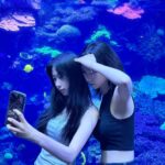 Uchinaga Eri Instagram - 물 .
