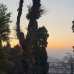 Ushasi Ray Instagram - Rubayee in Darjeeling ⛰️☕️🍩📚 My one day solo trip to my favourite hill city 🙌 #solotravel #solotraveler #solotrip #travelgram #wonderlust Darjilling