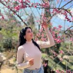 Ushasi Ray Instagram - 🌸🌸🌸🌸🌸 📸 @yudhajit_dey 📍 @chhotahaazribytherajbaribawali Mim Tea Estate, Sukhia, Darjeeling, West Bengal, India.
