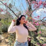 Ushasi Ray Instagram - 🌸🌸🌸🌸🌸 📸 @yudhajit_dey 📍 @chhotahaazribytherajbaribawali Mim Tea Estate, Sukhia, Darjeeling, West Bengal, India.